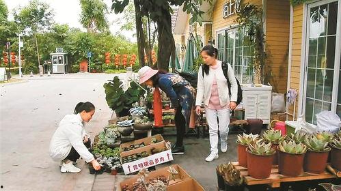 花店老板娘最新爆料事件,最新爆料事件背后的惊人真相