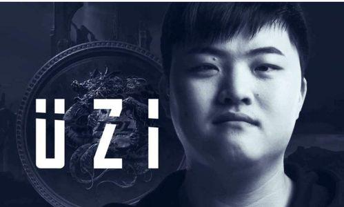 宝强哥最新爆料新闻视频,最新爆料视频深度解析